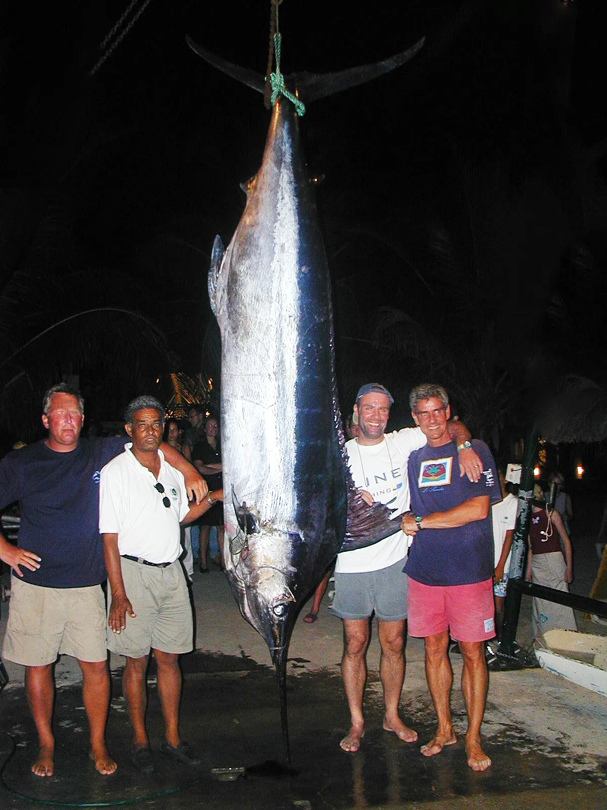 Marlin mit 4 Anglern