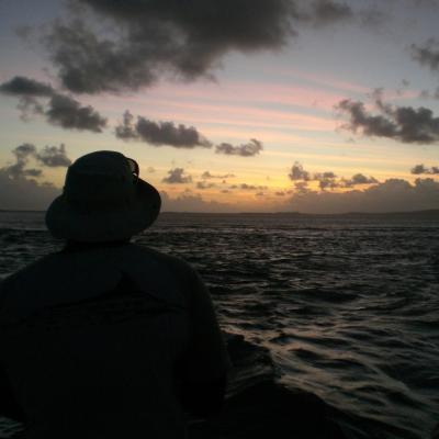 Beste Zeit für einen kapitalen GT