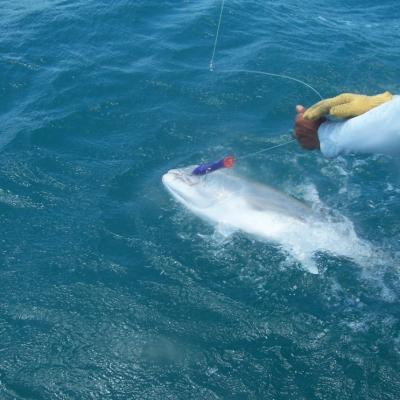 GT vor der Landung auf Popper