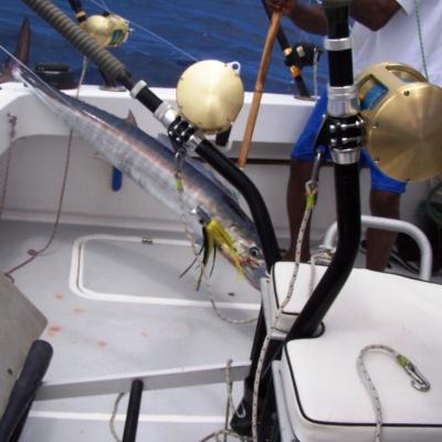 Und wieder zerstört ein Wahoo einen Lure