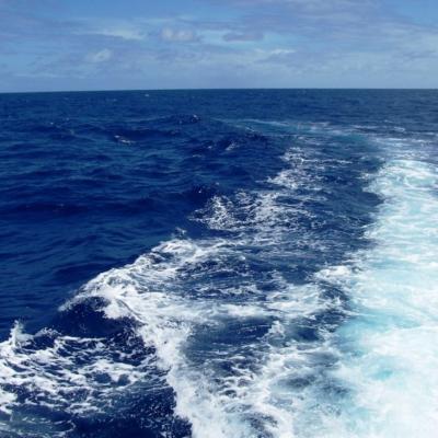 Warten auf den nächsten Biß