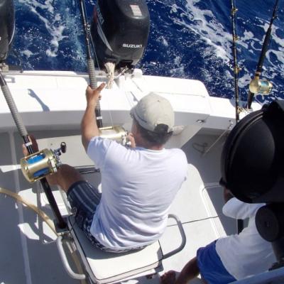 Daniel im Tuna Fight