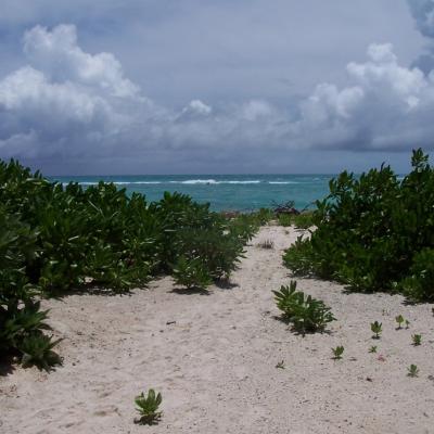 Trampelpfad zum Meer