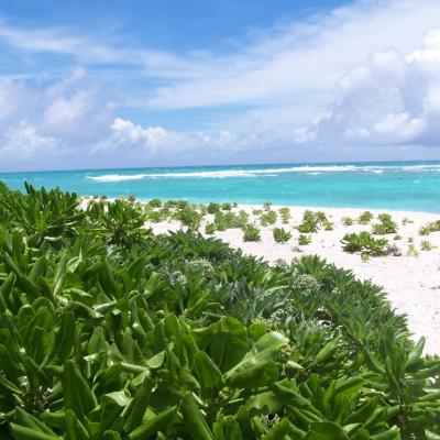 Aussicht von der Terrasse des Bungalows
