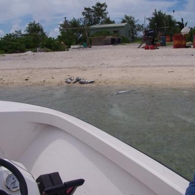 Tankstation auf der Isle du Sud