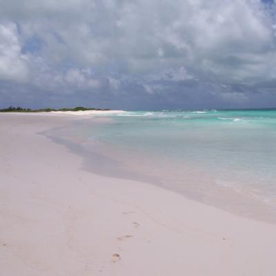 Strand von Isle de Coco