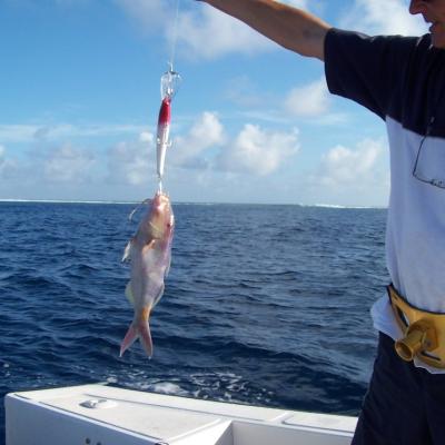 Köder fast größer als der Fang