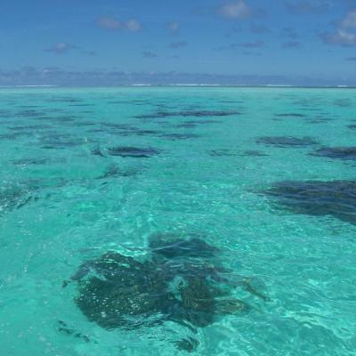 Glasklares Wasser in der Lagune von Isle de Coco