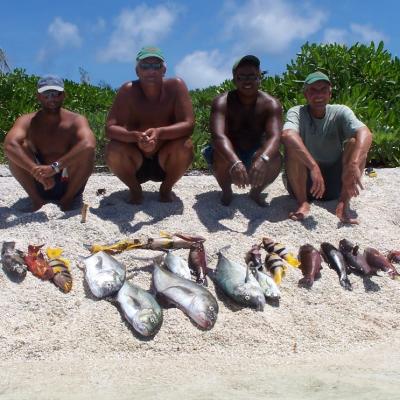 Bunte Fische für den Koch