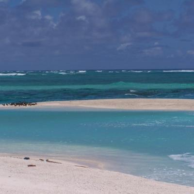 Strand auf der Isle du Sud