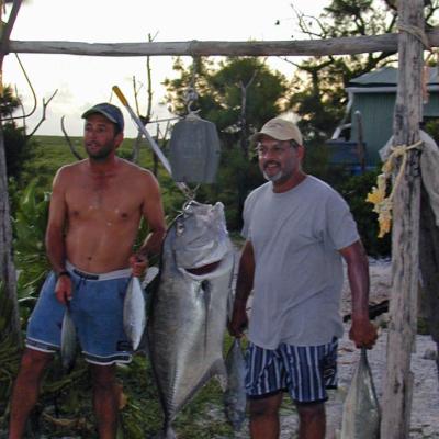 GT bei der Wiegestation