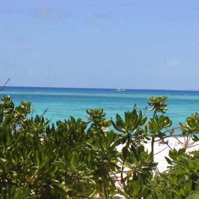 Aussicht vom Bungalow auf der Isle de Sud