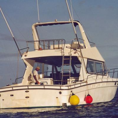 Chicco vor der Rückfahrt