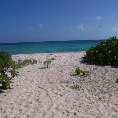 Nice View von der Isle de Sud