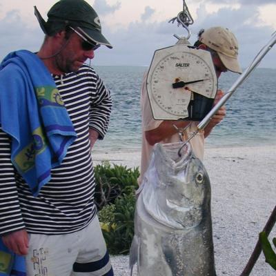 Mikel mit schönem GT