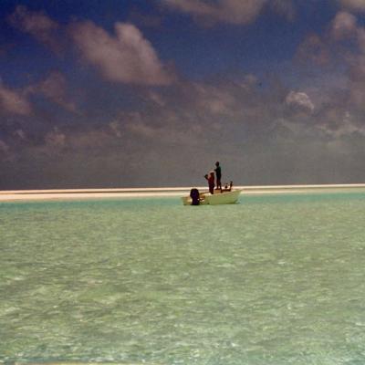 In der Lagunge von Isle de Coco