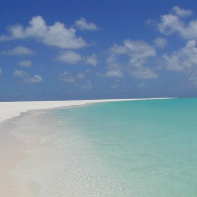 Strand von Isle de Coco
