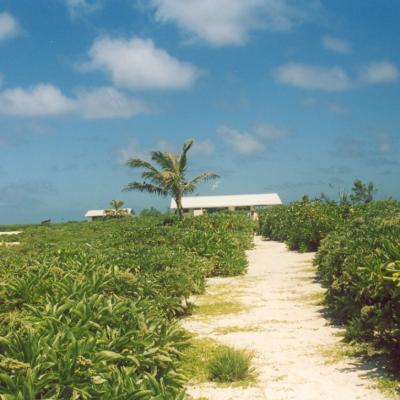 Trampelpfad zum Bungalow