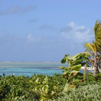 Erster Ausblick von Saint Brandon