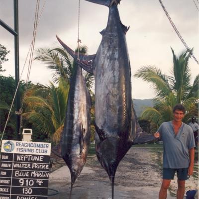 Walter Marlin 910 lbs