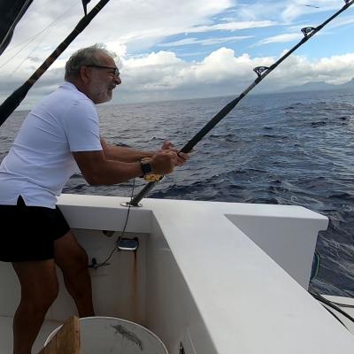 Daniel 2025 in Action