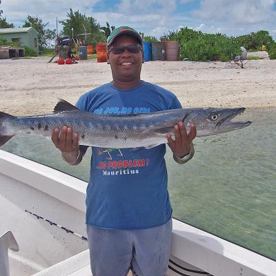 Jean-Marie Barracuda STB