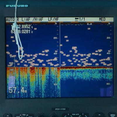 Echolot. Hier sind wir richtig