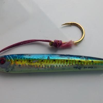 Sehr erfolgreicher Jigg