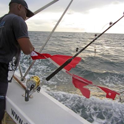 Bilder und Bericht Rodrigues 2014