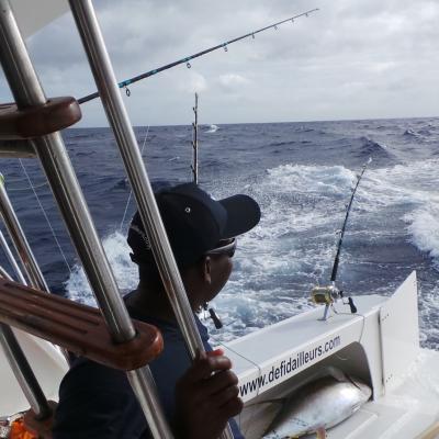 Vielleicht kommt die Sonne ja doch noch raus.