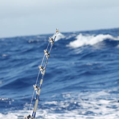 Ein Tag mit bestem Trolling-Wetter