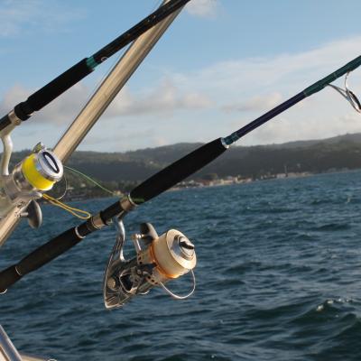 Jigging-Ruten sind einsatzbereit