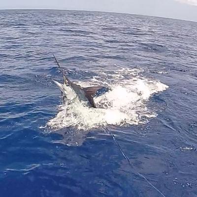 Bilder und Bericht Mauritius 2018