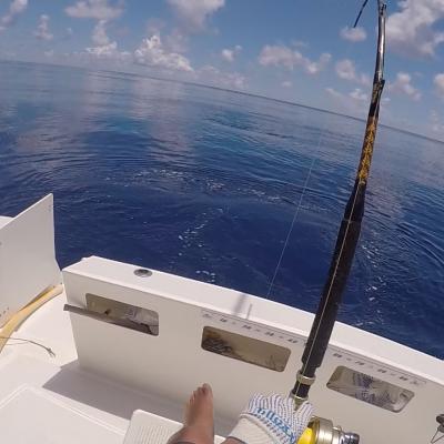 Marlin Fight Rodrigues