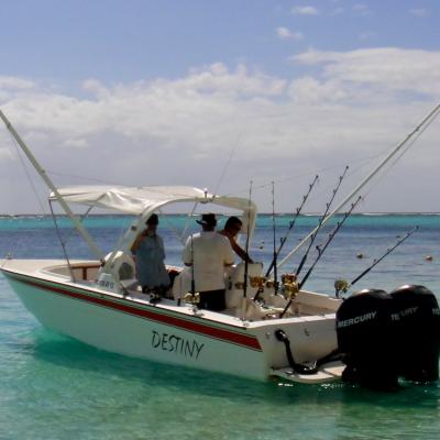 Bilder und Bericht Mauritius 2013