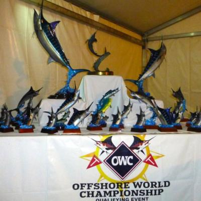 Preise und Trophäen SIOBC 2014