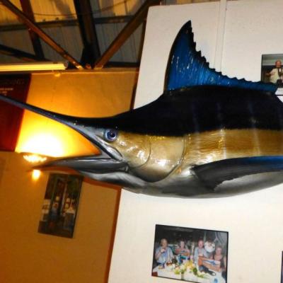 Marlin im Le Morne Angling Club