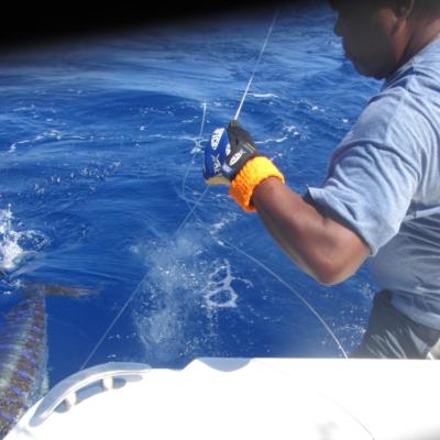 Bilder und Bericht Mauritius 2014