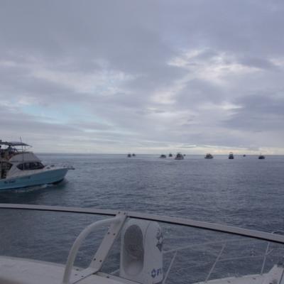 Warten auf den Startschuss