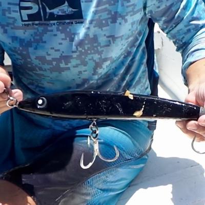 Stickbait nach einem Tag im Einsatz