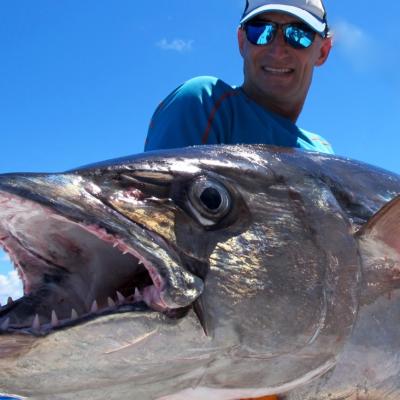 Kopf von Dogtooth-Tuna