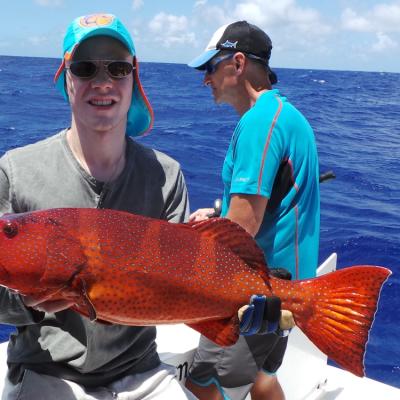 Max mit Leoparden Coralgrouper
