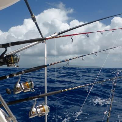 Jigging Rods are ready