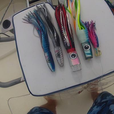 Bilder und Bericht Rodrigues 2013